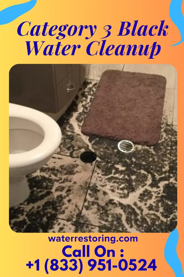 Category 3 Black Water Cleanup in North Miami, OK