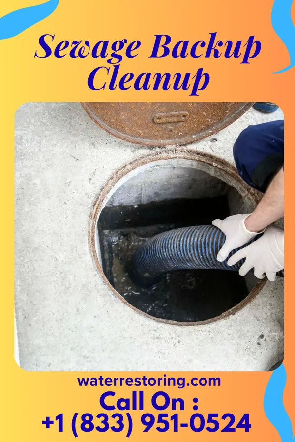 Sewage Backup Cleanup in North Miami, OK